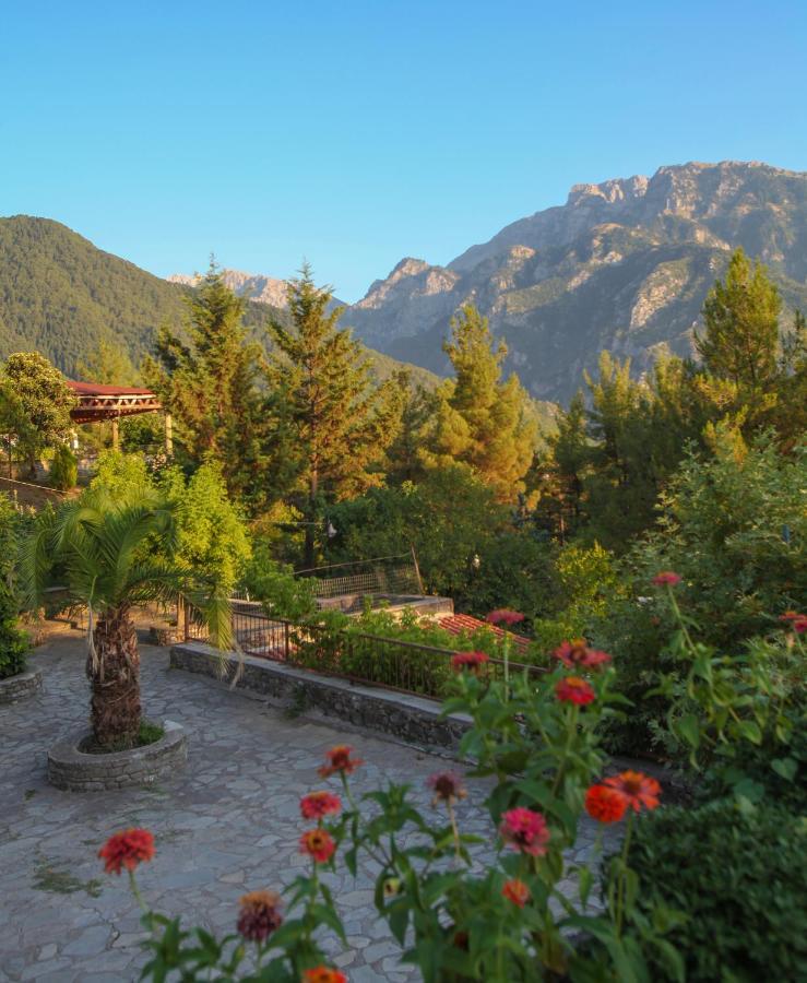 Konitsa Panorama Ξενοδοχείο Εξωτερικό φωτογραφία